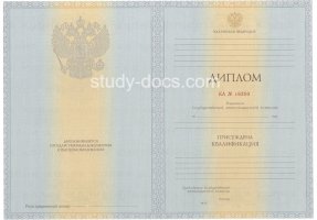 Диплом специалиста 2012-2013 в Нижнем Тагиле